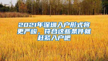 2021年深圳入户形式将更严峻，符合这些条件就赶紧入户吧