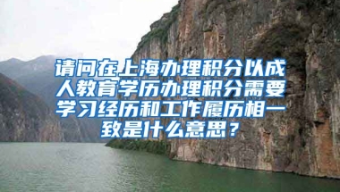 请问在上海办理积分以成人教育学历办理积分需要学习经历和工作履历相一致是什么意思？