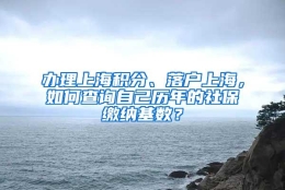 办理上海积分、落户上海，如何查询自己历年的社保缴纳基数？