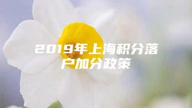 2019年上海积分落户加分政策