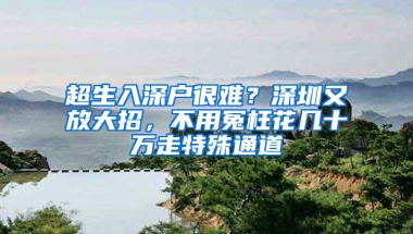 超生入深户很难？深圳又放大招，不用冤枉花几十万走特殊通道