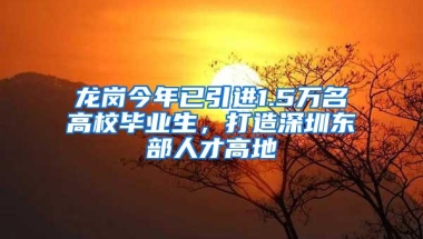 龙岗今年已引进1.5万名高校毕业生，打造深圳东部人才高地