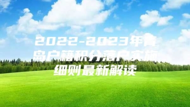 2022-2023年青岛户籍积分落户实施细则最新解读