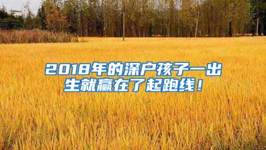 2018年的深户孩子一出生就赢在了起跑线！