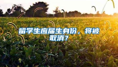 留学生应届生身份，将被取消？