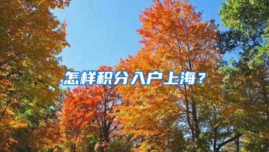 怎样积分入户上海？