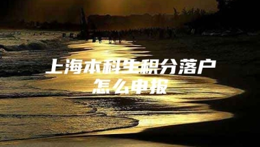 上海本科生积分落户怎么申报