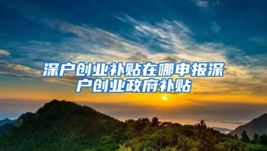 深户创业补贴在哪申报深户创业政府补贴