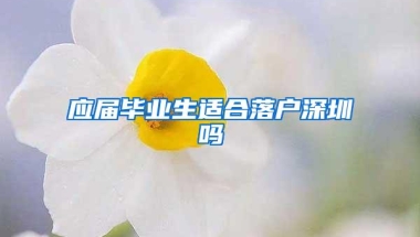 应届毕业生适合落户深圳吗