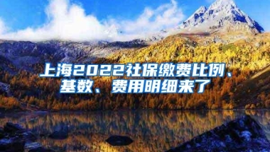 上海2022社保缴费比例、基数、费用明细来了