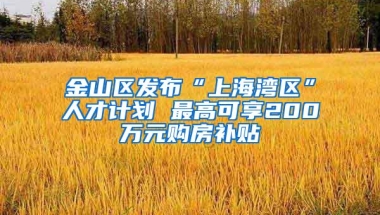 金山区发布“上海湾区”人才计划 最高可享200万元购房补贴