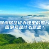 深圳居住证办理里的照片图象号是什么意思？