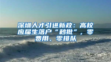 深圳人才引进新政：高校应届生落户“秒批”, 零费用、零排队