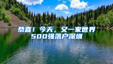 恭喜！今天，又一家世界500强落户深圳