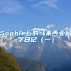 Sophie丘的马来西亚留学日记（一）