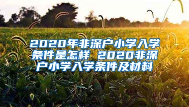 2020年非深户小学入学条件是怎样 2020非深户小学入学条件及材料