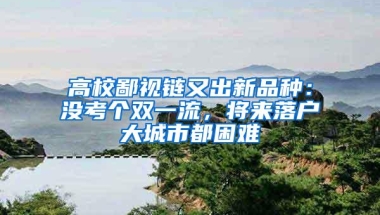 高校鄙视链又出新品种：没考个双一流，将来落户大城市都困难