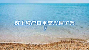 对上海户口不感兴趣了吗？