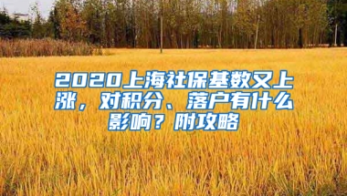 2020上海社保基数又上涨，对积分、落户有什么影响？附攻略