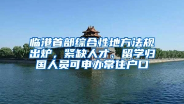 临港首部综合性地方法规出炉，紧缺人才、留学归国人员可申办常住户口