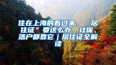 住在上海的看过来，“居住证”要这么办，社保、落户都靠它｜居住证全解读