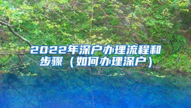 2022年深户办理流程和步骤（如何办理深户）