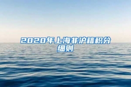 2020年上海非沪籍积分细则