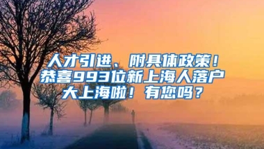 人才引进、附具体政策！恭喜993位新上海人落户大上海啦！有您吗？