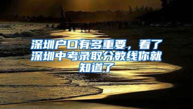 深圳户口有多重要，看了深圳中考录取分数线你就知道了