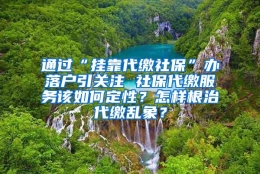 通过“挂靠代缴社保”办落户引关注 社保代缴服务该如何定性？怎样根治代缴乱象？