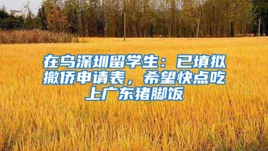 在乌深圳留学生：已填拟撤侨申请表，希望快点吃上广东猪脚饭