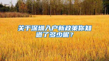 关于深圳入户新政策你知道了多少呢？