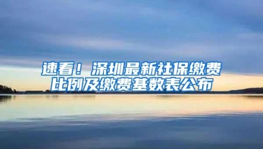 速看！深圳最新社保缴费比例及缴费基数表公布