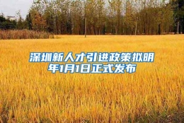 深圳新人才引进政策拟明年1月1日正式发布