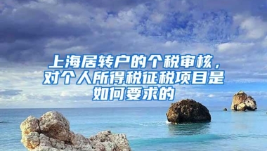 上海居转户的个税审核，对个人所得税征税项目是如何要求的