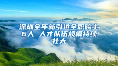 深圳全年新引进全职院士6人 人才队伍规模持续壮大