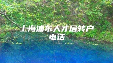 上海浦东人才居转户电话