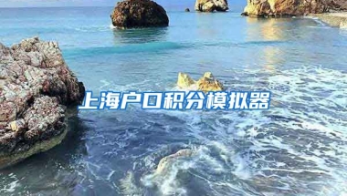 上海户口积分模拟器