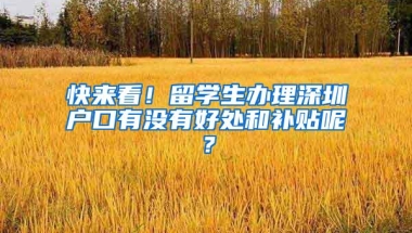 快来看！留学生办理深圳户口有没有好处和补贴呢？