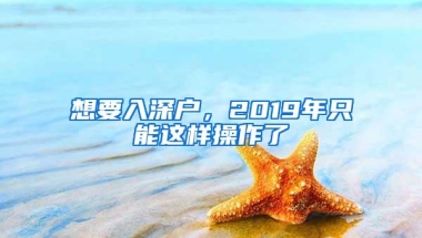 想要入深户，2019年只能这样操作了