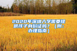 2020年深圳入学需要提供孩子身份证吗？（附：办理指南）