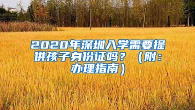 2020年深圳入学需要提供孩子身份证吗？（附：办理指南）