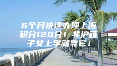 6个月快速办理上海积分120分！非沪籍子女上学就靠它！