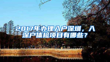 2017年办理入户深圳，入深户体检项目有哪些？