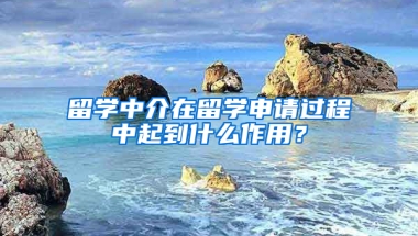 留学中介在留学申请过程中起到什么作用？