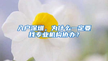 入户深圳，为什么一定要找专业机构协办？