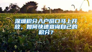 深圳积分入户窗口马上开放，如何快速查询自己的积分？