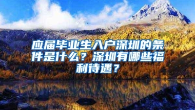 应届毕业生入户深圳的条件是什么？深圳有哪些福利待遇？