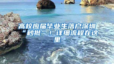 高校应届毕业生落户深圳“秒批”！详细流程在这里