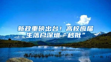 新政重磅出台！高校应届生落户深圳“秒批”